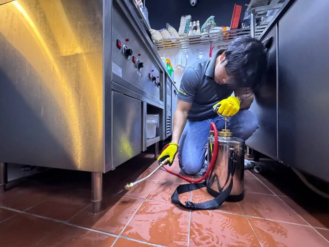 Complete Maintenance Services